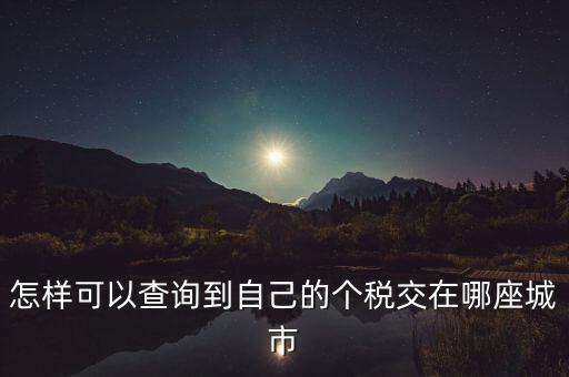 如何查詢個(gè)人所得稅所交地點(diǎn)，怎樣可以查詢到自己的個(gè)稅交在哪座城市