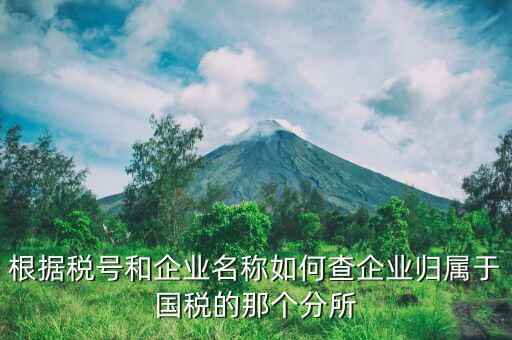 如何查詢企業(yè)所屬國稅分局，根據(jù)稅號和企業(yè)名稱如何查企業(yè)歸屬于國稅的那個分所