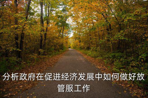 如何做好國稅系統(tǒng)的放管服工作，分析政府在促進(jìn)經(jīng)濟(jì)發(fā)展中如何做好放管服工作