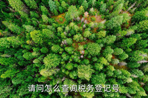 如何查地稅登記號，怎樣在網(wǎng)上查詢國稅和地稅登記號