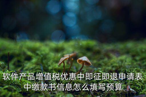 即征即退的退稅申請(qǐng)表如何填寫，軟件產(chǎn)品增值稅優(yōu)惠中即征即退申請(qǐng)表中繳款書信息怎么填寫預(yù)算