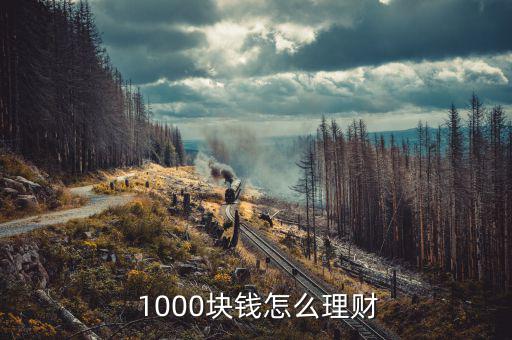 1000元怎么投資,如何通過(guò)1000元的閑錢(qián)獲更高收益?