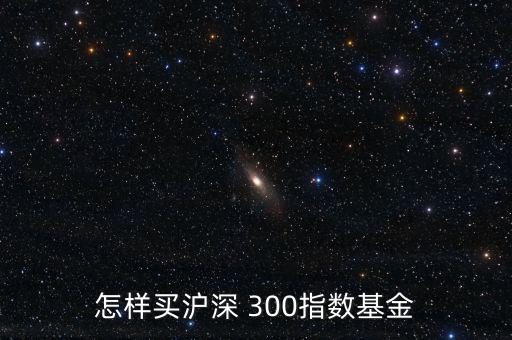 滬深300怎么買(mǎi),中證300指數(shù)基金有境外基金和場(chǎng)內(nèi)基金