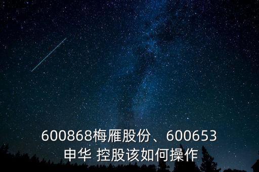 600868梅雁股份、600653 申華 控股該如何操作