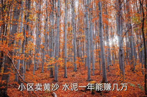 小區(qū)賣黃沙 水泥一年能賺幾萬(wàn)