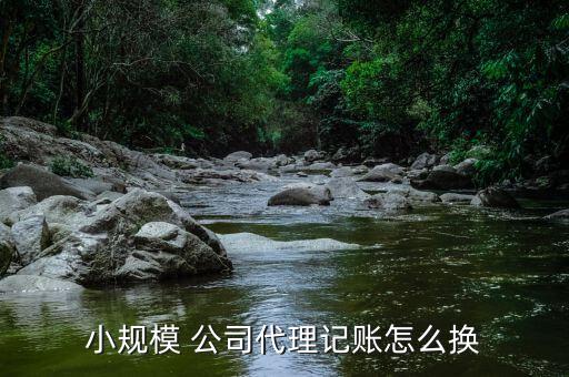 小規(guī)模 公司代理記賬怎么換