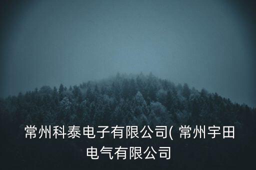 常州常力電器怎么樣,從武漢到常州精選新干線