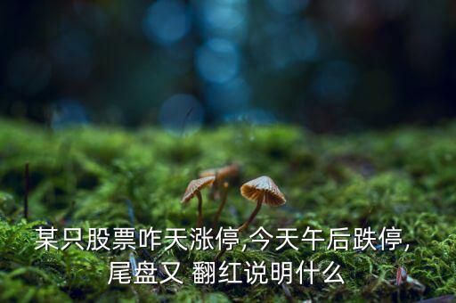 某只股票咋天漲停,今天午后跌停, 尾盤(pán)又 翻紅說(shuō)明什么