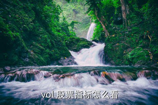  vol 股票指標怎么看