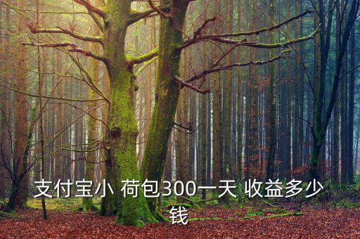 支付寶小 荷包300一天 收益多少錢(qián)