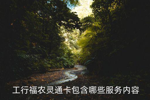  工行福農(nóng)靈通卡包含哪些服務(wù)內(nèi)容