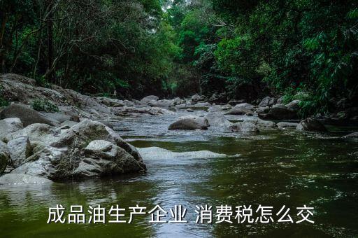 成品油消費(fèi)稅怎么交,政府將從今年頭九個(gè)月收集消費(fèi)稅