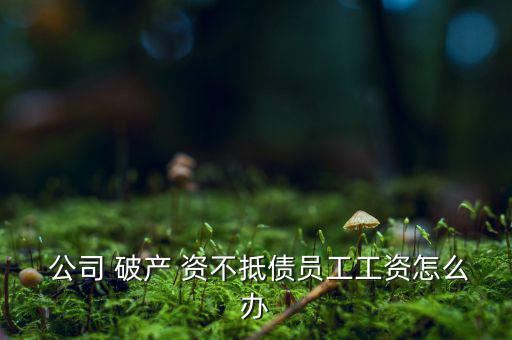  公司 破產(chǎn) 資不抵債員工工資怎么辦