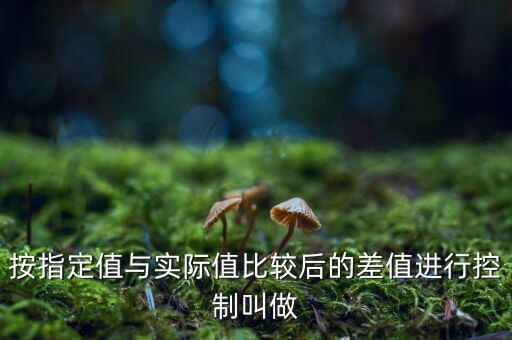 按指定值與實際值比較后的差值進行控制叫做