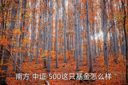 華夏中證500怎么樣,中證-1/lof成立時(shí)間最長(zhǎng)規(guī)模最大