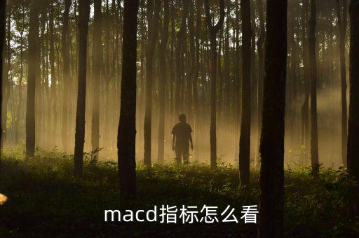 macd的線怎么看,如何看和使用macd線