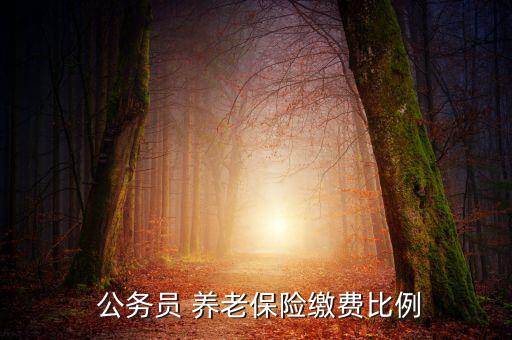  公務(wù)員 養(yǎng)老保險(xiǎn)繳費(fèi)比例