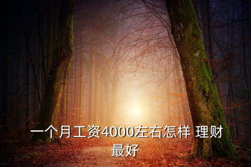  一個月工資4000左右怎樣 理財最好