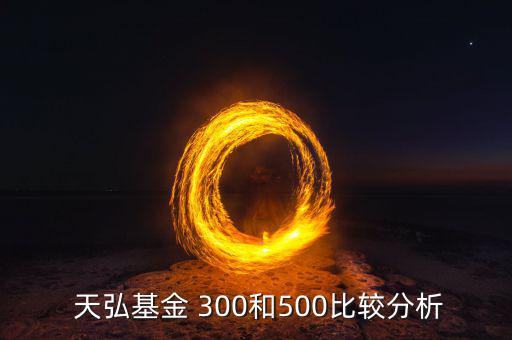  天弘基金 300和500比較分析