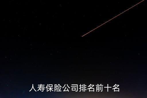  人壽保險(xiǎn)公司排名前十名