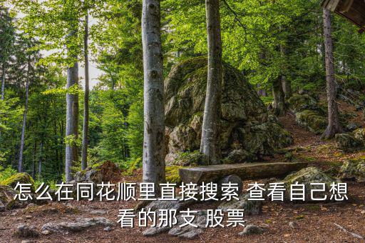 怎么查看自己的股票,點擊對應(yīng)股票信息即可查詢股票資料