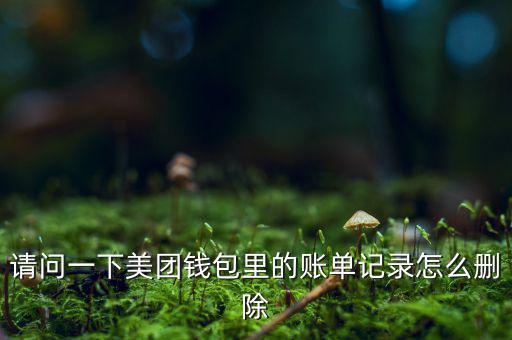 紅杉資本怎么進(jìn),理財在線｜羅清全】如何在美團做股票投資?