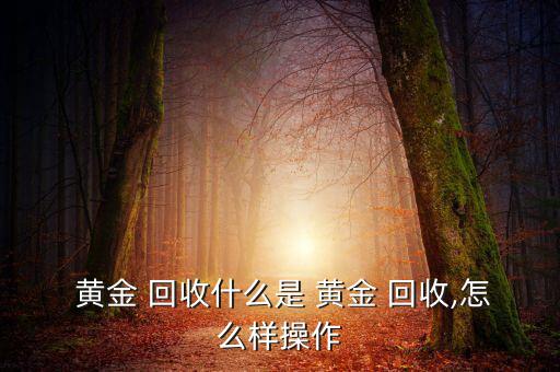  黃金 回收什么是 黃金 回收,怎么樣操作