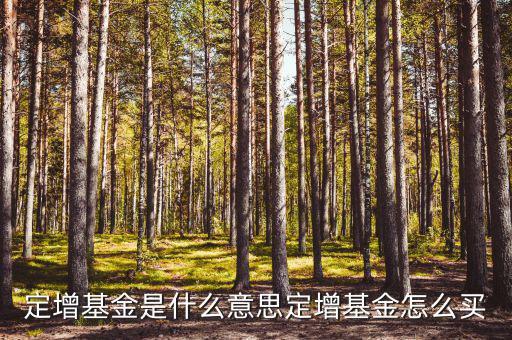 怎么查定增名單,如何買定向增發(fā)基金?可從下列渠道購(gòu)買