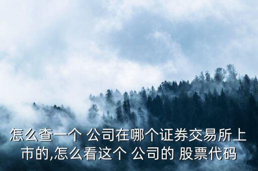 怎么查一個 公司在哪個證券交易所上市的,怎么看這個 公司的 股票代碼