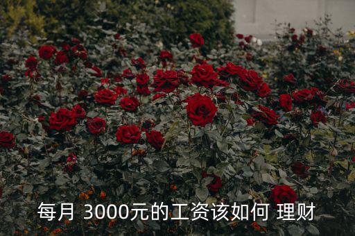 3000塊錢怎么理財,投資者每月定投300元開放式基金