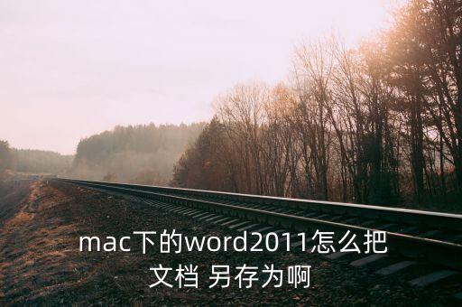 mac上的表格怎么另存為,蘋果電腦可復(fù)制工作表如下