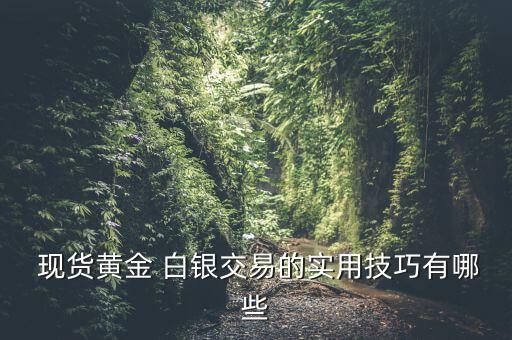  現貨黃金 白銀交易的實用技巧有哪些