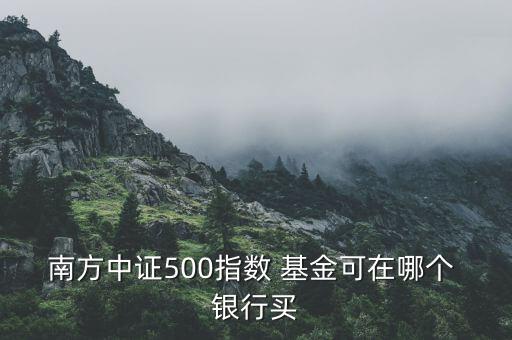 南方中證500指數(shù) 基金可在哪個(gè) 銀行買(mǎi)