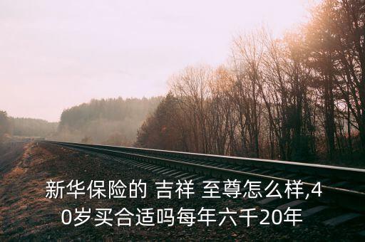  新華保險(xiǎn)的 吉祥 至尊怎么樣,40歲買合適嗎每年六千20年