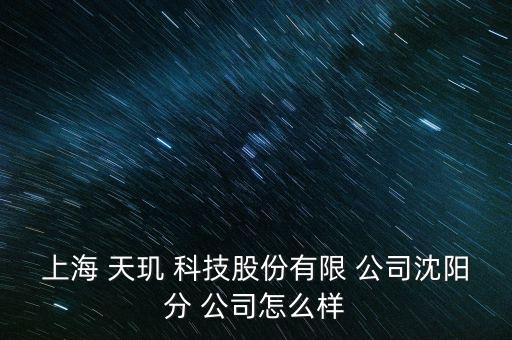 上海 天璣 科技股份有限 公司沈陽(yáng)分 公司怎么樣