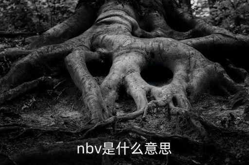 保險(xiǎn)nbv是什么意思，nbv是什么意思