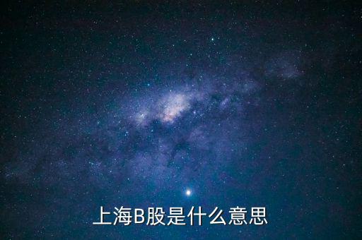 上海B股是什么意思