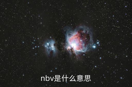 nbv是什么意思