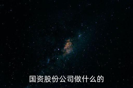 國資股份公司做什么的