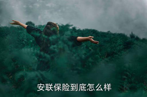 安聯(lián)的理賠怎么樣,本地保險(xiǎn)公司理賠快速度之所以快速獲利