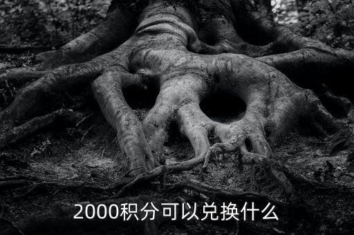 2000積分可以兌換什么