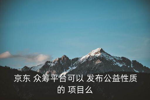  京東 眾籌平臺可以 發(fā)布公益性質(zhì)的 項(xiàng)目么