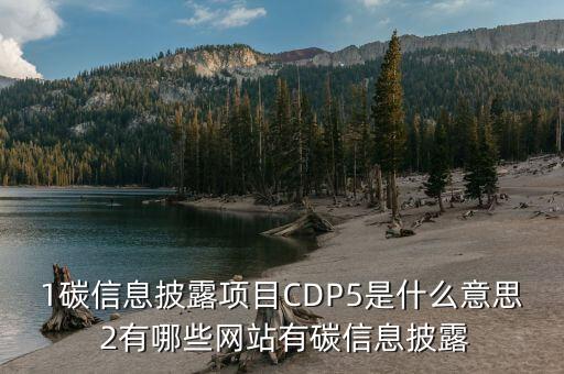 1碳信息披露項目CDP5是什么意思 2有哪些網(wǎng)站有碳信息披露