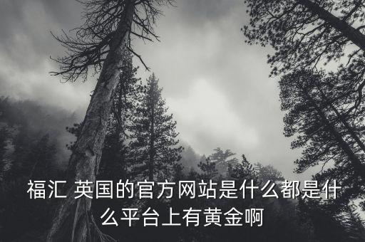  福匯 英國的官方網站是什么都是什么平臺上有黃金啊