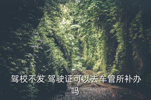 駕校不給駕駛證怎么辦,機(jī)動車駕駛?cè)搜a(bǔ)辦駕駛證后作廢不再使用