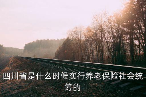 四川省是什么時候?qū)嵭叙B(yǎng)老保險社會統(tǒng)籌的