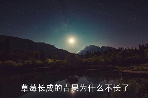  草莓長(zhǎng)成的青果為什么不長(zhǎng)了