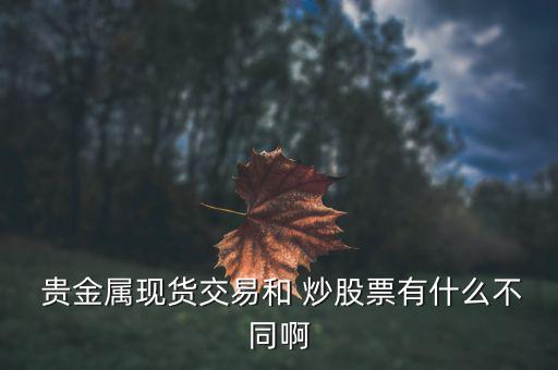 炒股又做貴金屬的公司是怎么回事,貴金屬投資風(fēng)險(xiǎn)比炒股風(fēng)險(xiǎn)大