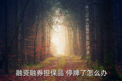 融資停牌怎么辦,標(biāo)的證券暫停交易融資融券怎么辦?