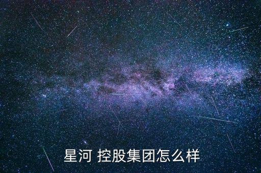  星河 控股集團怎么樣